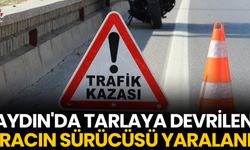 Aydın'da tarlaya devrilen aracın sürücüsü yaralandı