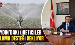 Aydın'da üreticiler sulama desteği bekliyor