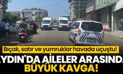 Aydın'da aileler arasında büyük kavga