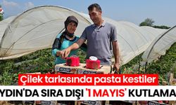 Aydın'da sıra dışı '1 Mayıs' kutlaması