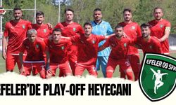 Efeler'de play-off heyecanı