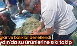 Aydın'da su ürünlerine sıkı takip