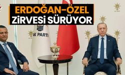 Cumhurbaşkanı Erdoğan ile CHP Lideri Özel'in görüşmesi başladı