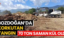 Bozdoğan’da korkutan yangın