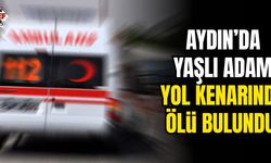 Aydın'da yaşlı adam yol kenarında ölü bulundu