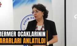 Didim Derneği tehlikeye işaret etti