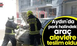 Aydın'da park halindeki araç alevlere teslim oldu!