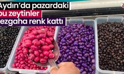 Aydın’da pazardaki bu zeytinler tezgaha renk kattı