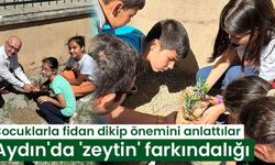 Aydın'da 'zeytin' farkındalığı