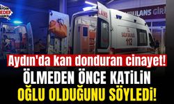 Aydın'da kan donduran cinayet!