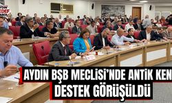 Aydın BŞB Meclisi'nde antik kente destek görüşüldü