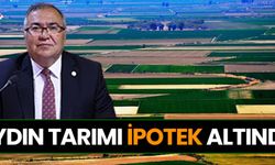 Aydın’daki ipotekli tarım arazilerinde çarpıcı artış
