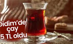 Didim'de çay fiyatları güncellendi