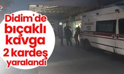 Didim'de bıçaklı kavga: 2 kardeş yaralandı