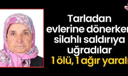 Tarladan evlerine dönerken silahlı saldırıya uğradılar: 1 ölü, 1 ağır yaralı