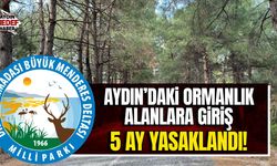 Aydın’da ormanlık alan giriş yasağı başlıyor