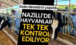 Nazilli’de hayvanlar tek tek kontrol ediliyor