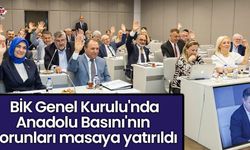 BİK Genel Kurulu'nda Anadolu Basını'nın sorunları masaya yatırıldı