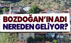 Bozdoğan’ın adı nereden geliyor?