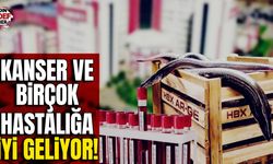 Yılan Balığı Laboratuvar Testlerinde Vitamin ve Mineral Bakımından Zengin Olduğu Keşfedildi