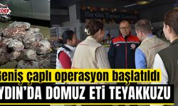 Aydın’daki restoran ve kasaplar mercek altında