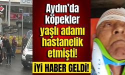 Aydın'da köpeklerin saldırısına uğrayan yaşlı adamdan iyi haber geldi!