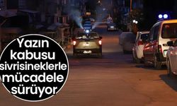 Yazın kabusu sivrisineklerle mücadele sürüyor