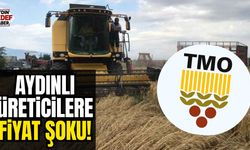 TMO’nun açıkladığı buğday alım fiyatı üreticileri üzdü