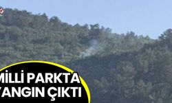 Aydın’daki milli parkta yangın