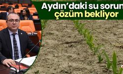 Aydın’daki tarımsal ürünler susuz kaldı