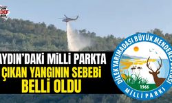 Milli parktaki yangınla ilgili açıklama geldi