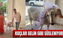 Aydın’da gelin koçu geleneği sürüyor