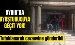 Aydın'da zehir tacirlerine operasyon