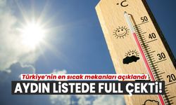 Türkiye'nin en sıcak mekanları açıklandı: Aydın'ın 17 ilçesi listede!