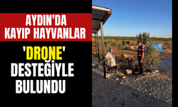 Aydın'da kayıp hayvanlar 'drone' desteğiyle bulundu