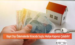 Kayıt Dışı Ödemelerde Kiracıda Suçlu: Maliye Kapınızı Çalabilir!