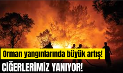 Türkiye'de orman yangınları 5 kat arttı!