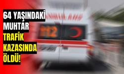 64 yaşındaki muhtar trafik kazasında öldü!