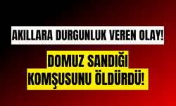 Akıllara durgunluk veren olay! Domuz sandığı komşusunu öldürdü!