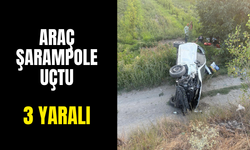 Araç şarampole uçtu! 3 yaralı