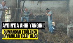 Aydın'da ahır yangını! Dumandan etkilenen hayvanlar telef oldu