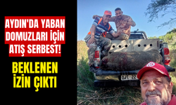 Aydın'da yaban domuzları için atış serbest! Beklenen izin çıktı