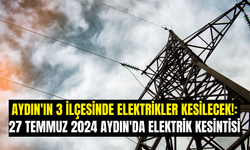 Aydın'ın 3 İlçesinde Elektrikler Kesilecek!: 27 Temmuz 2024 Aydın'da Elektrik Kesintisi