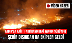 Aydın'da kağıt fabrikasındaki yangın sürüyor!