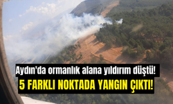 Aydın'da ormanlık alana yıldırım düştü! 5 farklı noktada yangın çıktı!