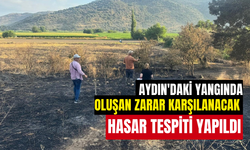 Aydın'daki o yangının zararı tespit edildi! Afet ihbarı yapılacak!