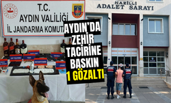 Aydın’da zehir tacirine baskın: 1 gözaltı