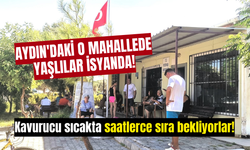 Aydın'daki o mahallede yaşlılar isyanda!