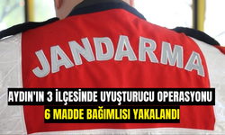 Aydın'ın 3 ilçesinde uyuşturucu operasyonu