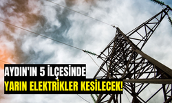 Aydın'ın 5 İlçesinde Elektrikler Kesilecek!: 8 Temmuz 2024 Aydın'da Elektrik Kesintisi